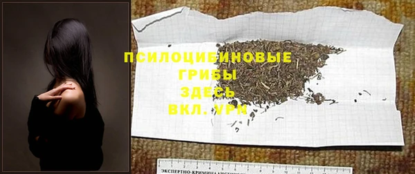 mdma Болотное
