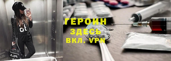 прущие грибы Горно-Алтайск