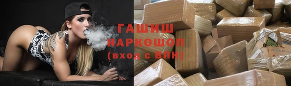прущие грибы Горно-Алтайск