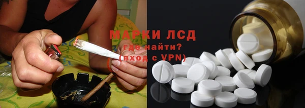 прущие грибы Горно-Алтайск