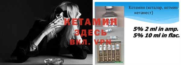 прущие грибы Горно-Алтайск