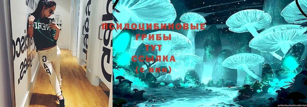 прущие крисы Горнозаводск