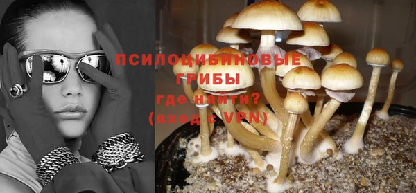 прущие грибы Горно-Алтайск