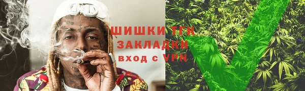 прущие грибы Горно-Алтайск