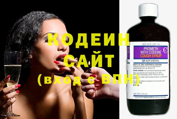 прущие грибы Горно-Алтайск