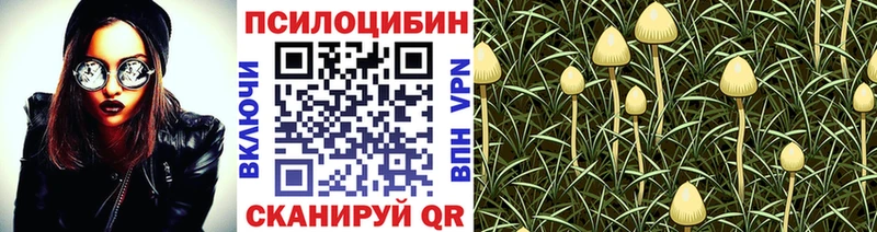 omg ССЫЛКА  Духовщина  Галлюциногенные грибы прущие грибы 